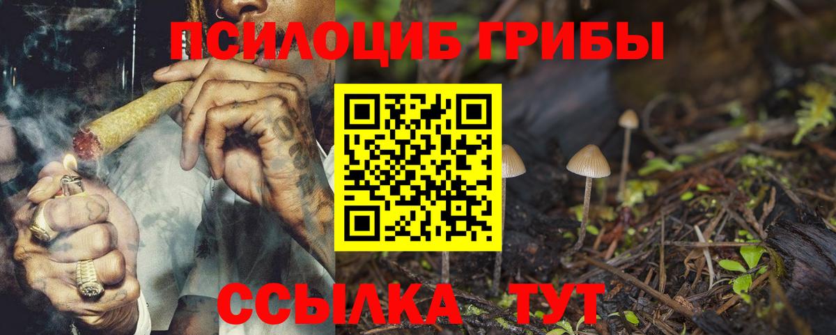 Псилоцибиновые грибы Psilocybe  Вход с VPN  Кингисепп 